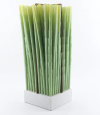 Smoke Shop Product Pre Rolled Cones Rolling Paper Smoking Accessories