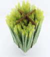 Smoke Shop Product Pre Rolled Cones Rolling Paper Smoking Accessories