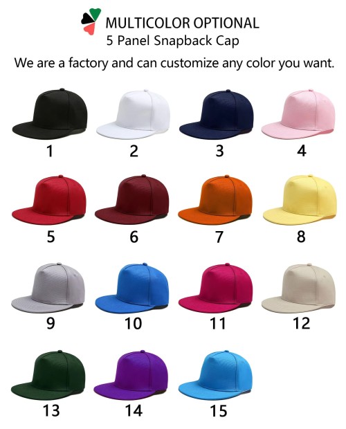 Custom Snapback Hat 3D Embroidery Blank Custom Snap Back Caps for Men
