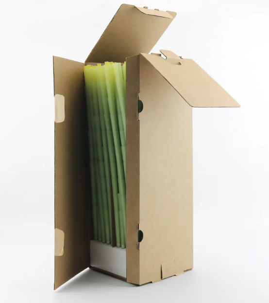 Smoke Shop Product Pre Rolled Cones Rolling Paper Smoking Accessories